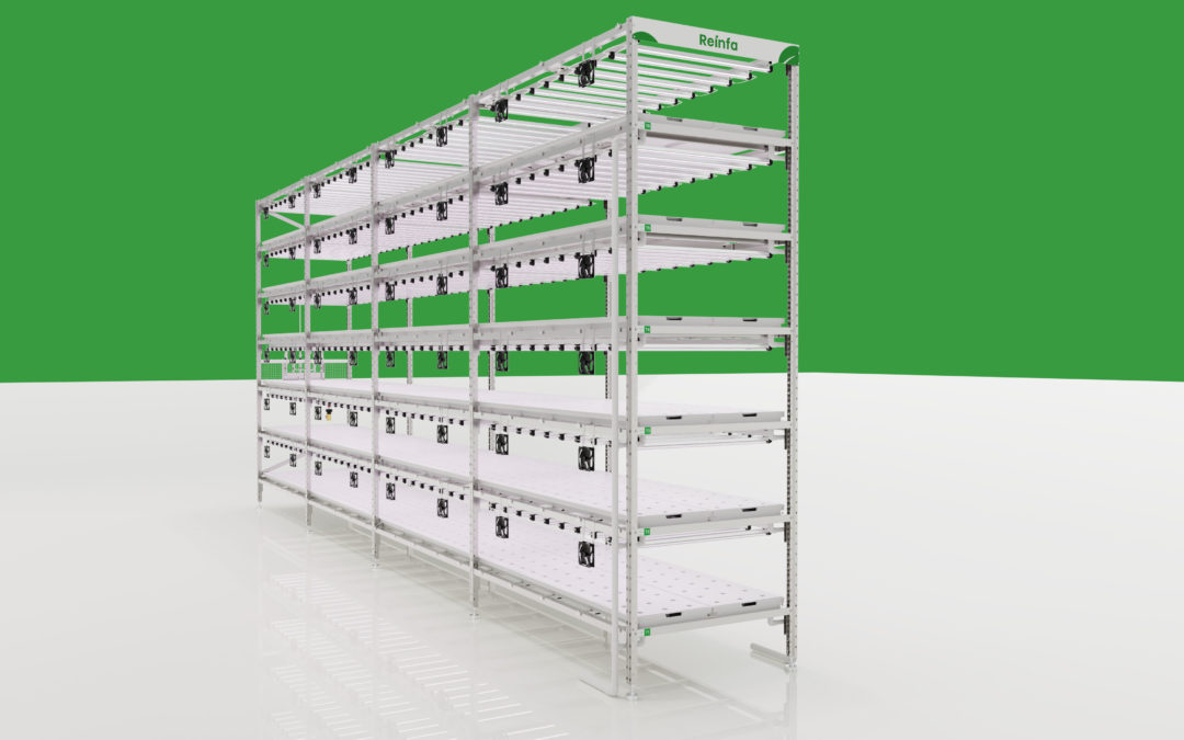 Revolutionizing Indoor Vertical Farming with Reinfa’s Innovative NFT Hydroponic System