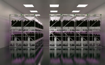 Boost yields: How FarmAero M Amazes Commercial Indoor Cannabis Growers with Innovative Aeroponic Vertical Farming Technology