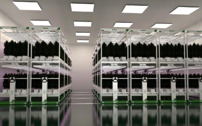 Mobile Grow Rack for Indoor Cannabis Growers