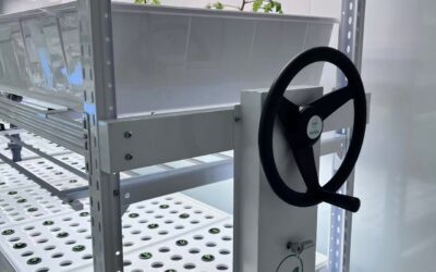 Why Is Aeroponics Harder Than Substrate Growing?